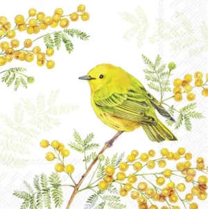 Ihr Servietter lunsj joy of spirng light green